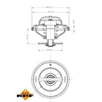 Termostat,lichid racire NRF