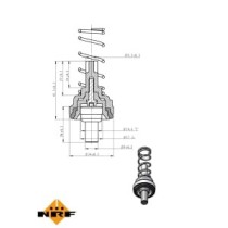 Termostat,lichid racire NRF