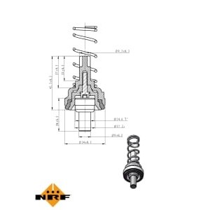 Termostat,lichid racire NRF