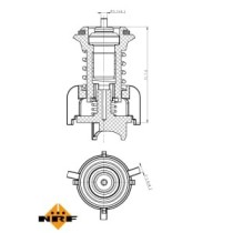 Termostat,lichid racire NRF