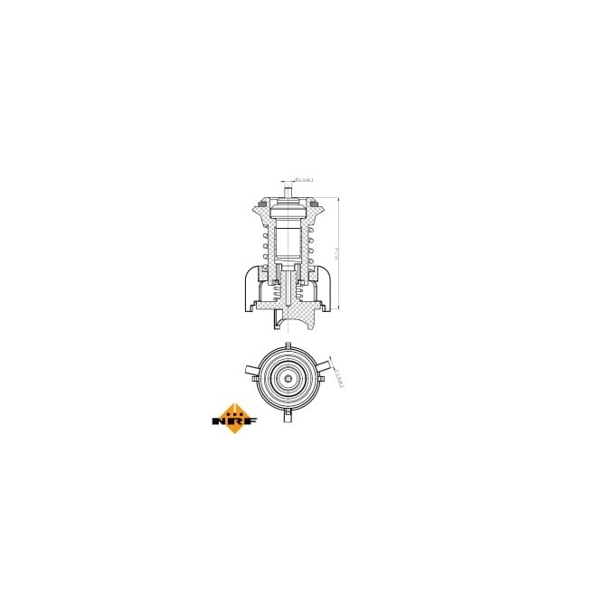 Termostat,lichid racire NRF