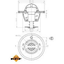 Termostat,lichid racire NRF