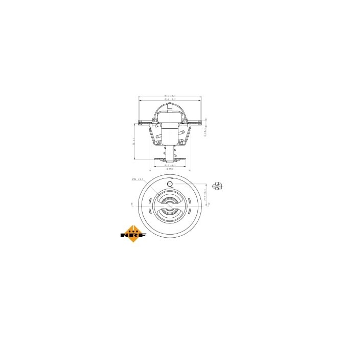 Termostat,lichid racire NRF