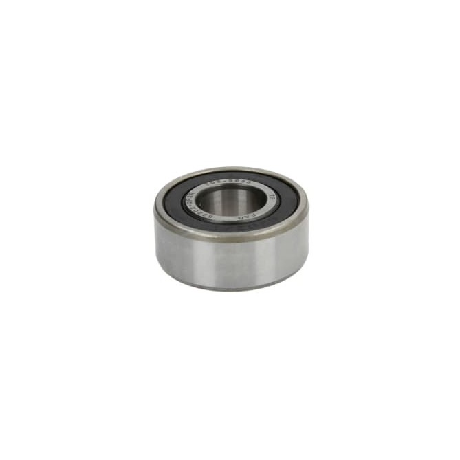 Lagar FAG Bearings