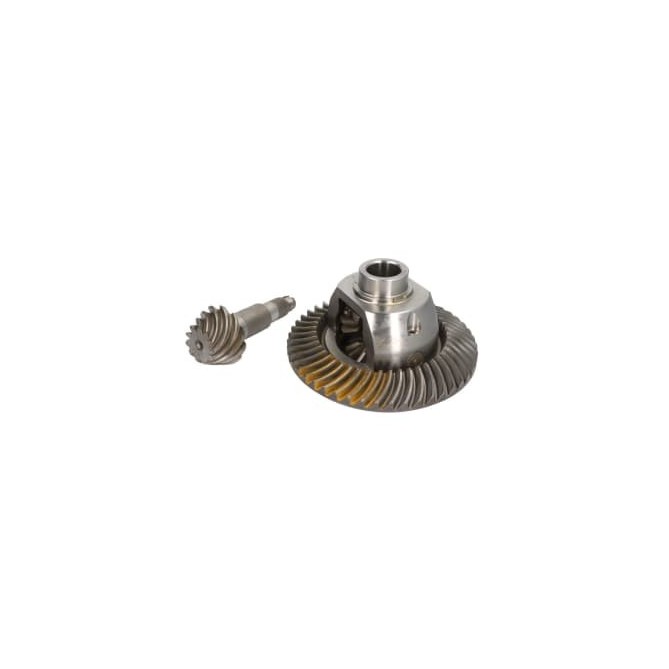 Taler -/ con pinion set EURORICAMBI