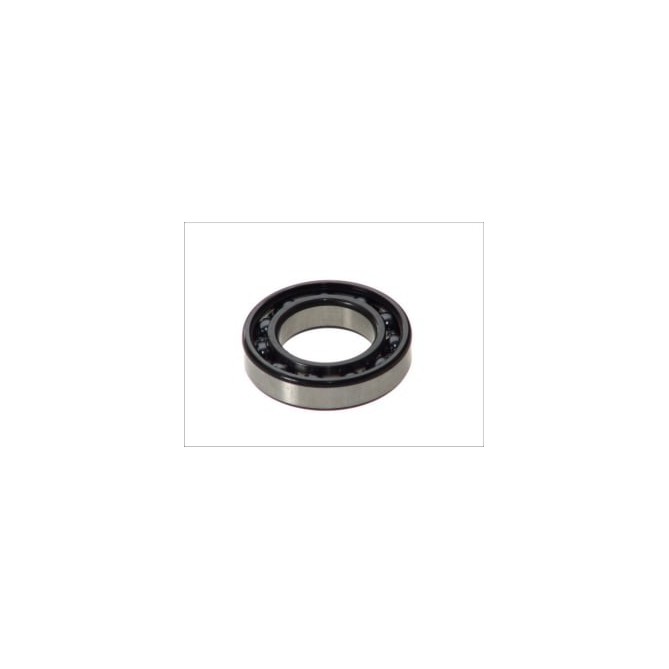 Lagar FAG Bearings