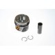 Piston KOLBENSCHMIDT 81,01 (STD) VW CRAFTER 30-35/30-50 2.5D 04.06-05.13 Diametru 81.01 mm Lungime 68.75 mm