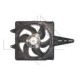 Ventilator radiator cu carcasa FIAT BRAVA BRAVO I MAREA MULTIPLA 1.2-1.8 10.95-06.10 300mm 12V 110W 6 palete