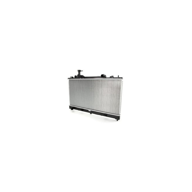 Radiator, racire motor NRF