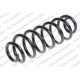 Arc Elicoidal Spate Dreapta/Stanga AUDI A3 VW PASSAT B6 1.4-2.0D 08.05-03.13 LESJOFORS Diametru 113.0mm Lungime 328.0mm Grosime 12.5mm