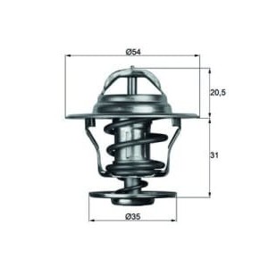 Termostat,lichid racire MAHLE