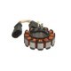 Stator PIAGGIO Sistem Electric Motor Alternator Stator Eticheta Printabila PVG 638610 Piesa