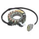 Stator Alternator TOURMAX Sistem Electric Motorului Alternator Stator Alternator Piesa Eticheta Printabila STA-234V