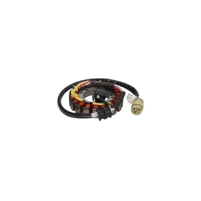 Stator de alternator TOURMAX