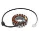 Stator Alternator TOURMAX Sistem Electric Motor Alternator Stator 1,06kg