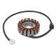 Stator Alternator TOURMAX Sistem Electric Motor Alternator Stator 1,06kg