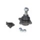 Articulatie sarcina/ghidare DELPHI Pivot axa Dreapta/Stanga fata diametru con 13mm FIAT PALIO 1.0-1.9D 04.96- M12x1.25