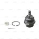 Articulatie sarcina/ghidare CTR Axle Ball Joint L/R Spate Superior SSANGYONG REXTON REXTON II 2.7D 08.04- M14xP1.5 11.3x6.3x6.3 cm