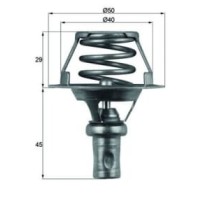 Termostat,lichid racire MAHLE