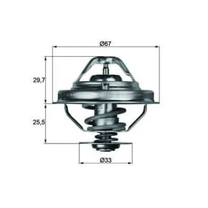 Termostat,lichid racire MAHLE