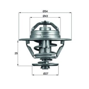 Termostat,lichid racire MAHLE