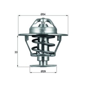 Termostat,lichid racire MAHLE