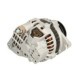 Alternator STARDAX 12V 80A MAZDA 323 F VI 323 S VI 626 V PREMACY 2.0D 04.98-03.05 Fulie curea dubla 2 caneluri