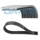 Curea transmisie cu caneluri DAYCO Multi-V-belt 9PK2313 2313mm 9 nervuri MERCEDES AXOR OM457.910-OM457.981