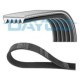 Curea transmisie cu caneluri DAYCO Multi-V-belt 5PK1140 Lungime 1140 mm Numar nervuri 5 FORD FIESTA IV HONDA CIVIC VIII MAZDA 121 III