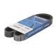 Curea transmisie cu caneluri DAYCO Multi-V-belt 6PK1020 1020.0mm 6 nervuri compatibil CITROEN