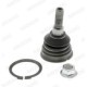 Articulatie sarcina/ghidare MOOG Pivot axa Dreapta/Stanga superior fata diametru con 19mm VW AMAROK 2.0/2.0D/3.0D 09.10-