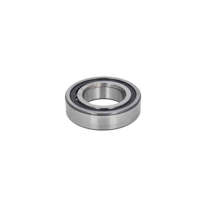 Lagar FAG Bearings