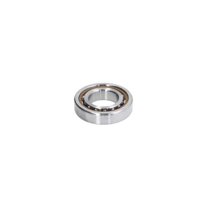 Lagar FAG Bearings