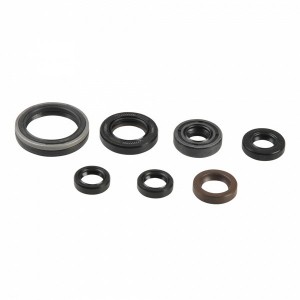 Set garnituri pentru motor ATHENA