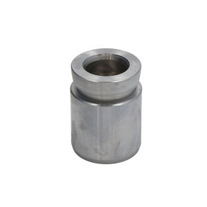 Piston, etrier frana AUTOFREN SEINSA