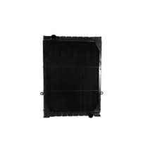 Radiator, racire motor NISSENS