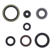 Set garnituri pentru motor ATHENA