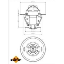 Termostat,lichid racire NRF