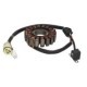 Stator de alternator DZE