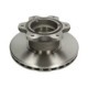 Disc frana spate Dreapta/Stanga 324mmx30mm pentru MERCEDES VARIO B667 B670 B668 09.96-