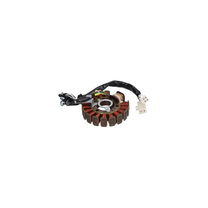 Stator de alternator RMS