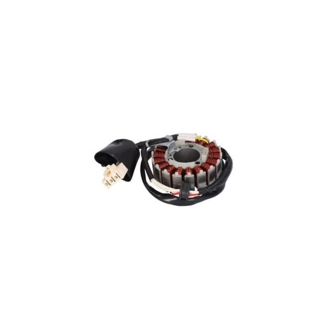 Stator de alternator RMS