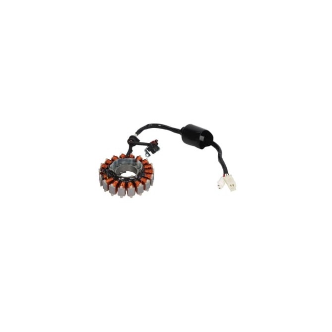 Stator de alternator RMS