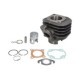 Cilindru motor RMS 50cm³ 2T APRILIA AMICO AREA 51 GULLIVER RALLY SCARABEO SONIC SR CHIŃSKI SKUTER MALAGUTI F10 F12 YAMAHA CG CS 50