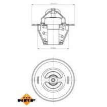 Termostat,lichid racire NRF