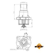 Termostat,lichid racire NRF