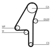 Set curea de distributie CONTITECH