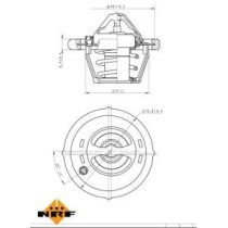 Termostat,lichid racire NRF