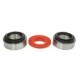 Rulment roata FAG Bearings