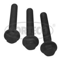 Set surub, disc curea-arbore cotit CORTECO